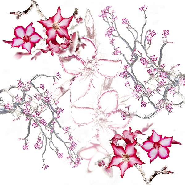 impala-lily-table-cloth